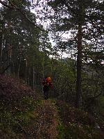 Tirolerkogel, Türnitzer Höger (167 Bildaufrufe)
