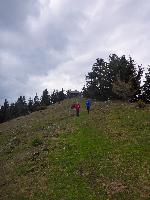 Bild 14 (166 Bildaufrufe)