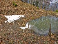 Türnitzer Höger, Tirolerkogel (149 Bildaufrufe)