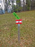 Bild 17 (179 Bildaufrufe)
