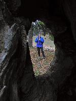Bild 20 (176 Bildaufrufe)