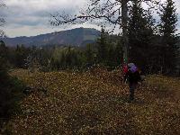 Tirolerkogel, Türnitzer Höger (232 Bildaufrufe)