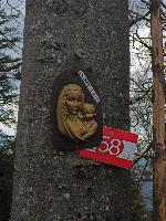 Bild 23 (177 Bildaufrufe)