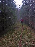 Bild 33 (181 Bildaufrufe)
