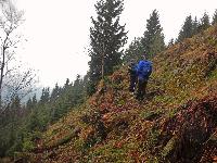 Türnitzer Höger, Tirolerkogel (213 Bildaufrufe)