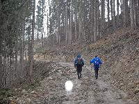 Bild 35 (228 Bildaufrufe)
