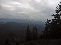 Bild 37 (200 Bildaufrufe)