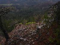 Bild 43 (192 Bildaufrufe)