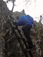 Bild 45 (230 Bildaufrufe)