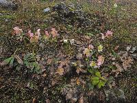Bild 48 (181 Bildaufrufe)