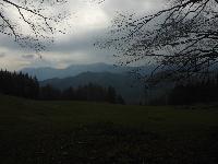 Bild 53 (244 Bildaufrufe)