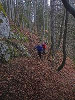 Tirolerkogel, Türnitzer Höger (176 Bildaufrufe)