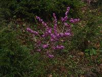Bild 56 (154 Bildaufrufe)