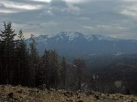 Bild 62 (165 Bildaufrufe)