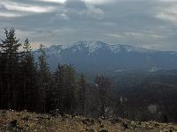 Türnitzer Höger, Tirolerkogel (160 Bildaufrufe)