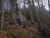 Türnitzer Höger, Tirolerkogel (168 Bildaufrufe)