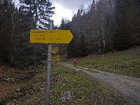 Bild 70 (171 Bildaufrufe)