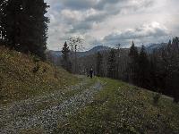 Tirolerkogel, Türnitzer Höger (160 Bildaufrufe)