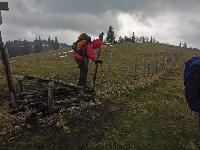 Türnitzer Höger, Tirolerkogel (181 Bildaufrufe)