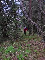 Bild 82 (145 Bildaufrufe)