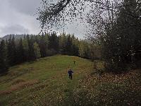 Bild 84 (182 Bildaufrufe)