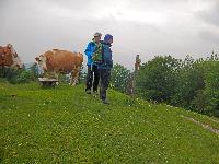 Bild 5 (158 Bildaufrufe)