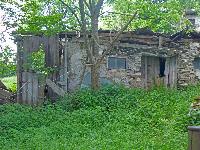 Bild 1 (130 Bildaufrufe)
