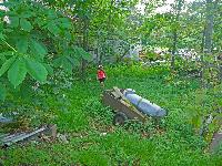 Bild 2 (179 Bildaufrufe)