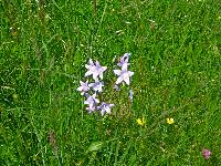 Bild 5 (137 Bildaufrufe)