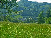 Bild 6 (149 Bildaufrufe)