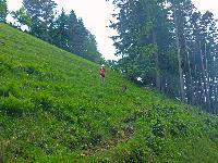 Bild 11 (187 Bildaufrufe)