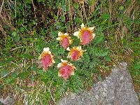 Bild 14 (242 Bildaufrufe)