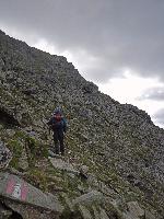 Bild 21 (195 Bildaufrufe)