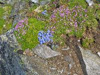 Bild 23 (182 Bildaufrufe)