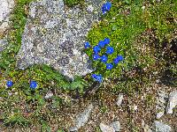 Bild 38 (176 Bildaufrufe)