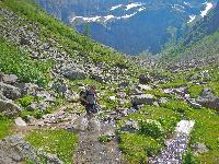 Bild 46 (169 Bildaufrufe)