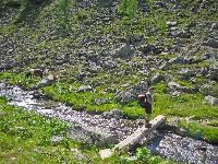 Hochgolling (155 Bildaufrufe)
