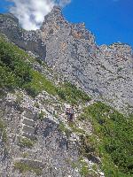 Bild 7 (145 Bildaufrufe)