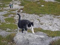 Bild 11 (156 Bildaufrufe)