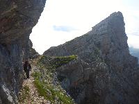Bild 22 (145 Bildaufrufe)