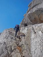 Bild 25 (123 Bildaufrufe)