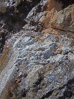 Bild 59 (116 Bildaufrufe)