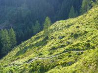 Bild 72 (134 Bildaufrufe)