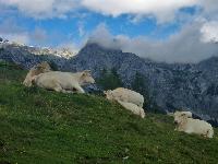 Bild 3 (170 Bildaufrufe)