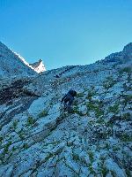 Bild 13 (114 Bildaufrufe)