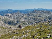 Bild 24 (145 Bildaufrufe)