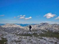 Bild 37 (136 Bildaufrufe)