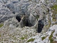 Bild 38 (158 Bildaufrufe)