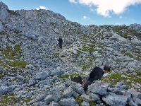 Bild 39 (152 Bildaufrufe)
