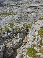 Bild 49 (123 Bildaufrufe)